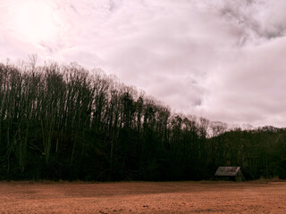 TN Trade, Old Barn in Fallow Field H1 2025