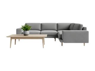 A modern living room scene featuring a gray sofa and a wooden coffee table with a potted plant on it