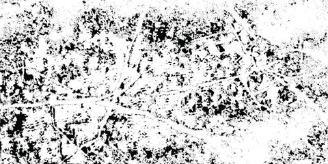 Abstract monochrome texture depicting tangled branches and foliage creating a high contrast organic pattern high quality