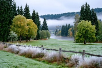 Frosty grass and colorful trees by a misty lake