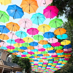 Obraz premium Colorful umbrellas at Dollywood