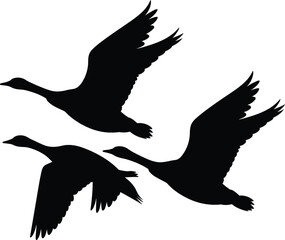 Flying geese silhouettes illustration, migrating birds in formation, minimalist wildlife design, black and white  © Bokul Creatives