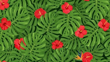Lush tropical foliage featuring vibrant hibiscus blossoms among monstera leaves