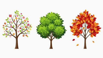 Fototapeta premium Seasonal tree illustrations in full bloom and change