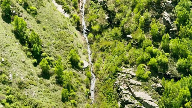 4K shot of waterfall falling from the mountain surrounded by green trees during the summer season as seen on the way towards Hudan Bhatori in Pangi Valley, Chamba district, Himachal Pradesh, India.
