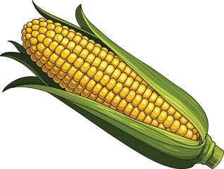  Corn Vegetable with Leaves for Food Design - corn, maize, vegetable, cob, food, vector, illustration, fresh, yellow, green, husk, leaf, agriculture, farm, harvest, 
