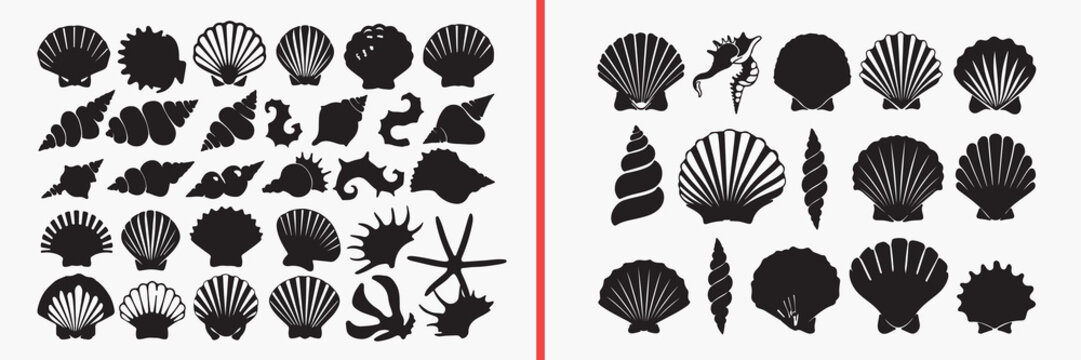 seashell silhouette vector, marine shell black silhouettes, ocean shell illustration set, beach seashell outline art, coastal shell vector design, sea life clipart silhouettes, tropical beach icon col