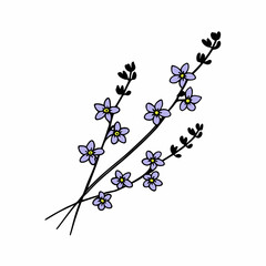 Delicate purple flower branch