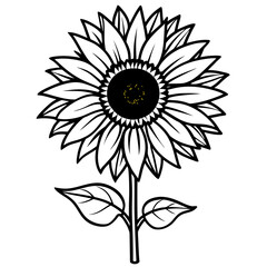 Black and white sunflower illustration