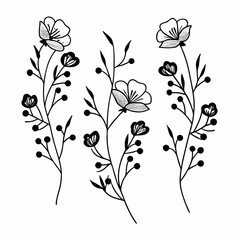 Delicate black and white flower illustrations