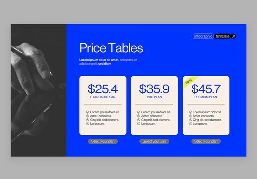 Price Pricing Table Infographic in Modern Corporate Business Presentation Style
