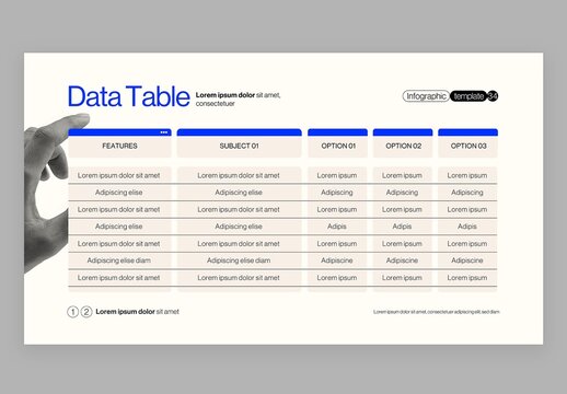 Data Table Infographic in Modern Corporate Business Presentation Style