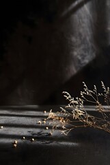 Dried golden grass sprigs and scattered seeds on dark textured surface under strong diagonal light