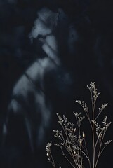 Ethereal shadow and light play on dark wall behind delicate dried stems in minimal setting
