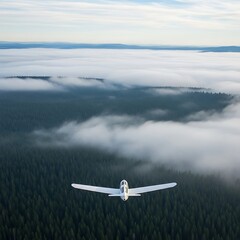 Aerial view of a small aircraft gliding over a dense evergreen forest, obscured by a thick blanket of fog
