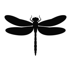Dragonfly head close-up Vector, Silhouette, Illustration