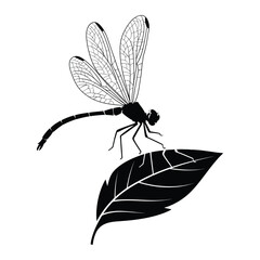 Dragonfly perched on leaf Vector, Silhouette, Illustration