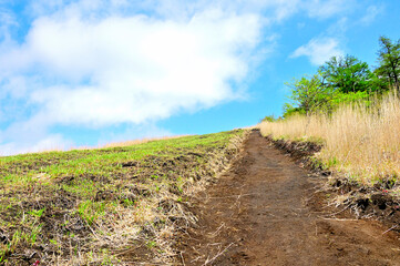丹沢の鉄砲木ノ頭　甲相国境尾根の山頂へ続く道
