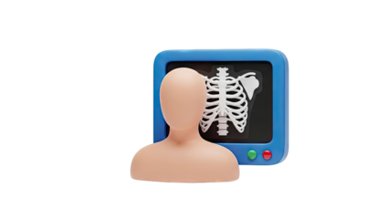 3D Human Torso and Ribcage X-Ray Illustration