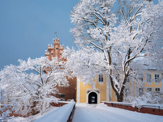 Fototapete bei efototapeten.de bestellen   