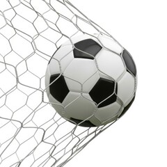 Black and white soccer ball in net