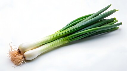 scallion whole with green white gradient