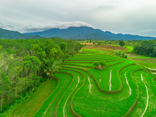 Fototapeta premium Beautiful morning view in Indonesia, panoramic landscape of rice fields with mountain ranges and clear sky