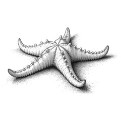 Detailed illustration of a five-armed starfish resting on a sandy surface