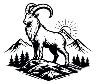 Hand drawn line art illustration of an ibex depicting it standing on a rock in a mountain landscape for nature and outdoor themes