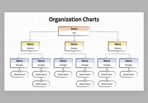 Organization Org Chart Hierarchy Infographic with Cute Education Style for School Teachers