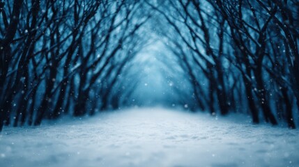 Aerial view of dreamy blue christmas wallpapers inviting hd winter wonderland art for the holidays