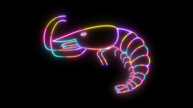 Neon Glowing Shrimp Outline Animation with Colorful Light Trails on Black Background, Seafood Crustacean Icon, Vibrant Digital Glow Loop for Restaurant, Ocean, and Modern Motion Graphics