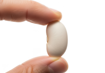 Closeup of a persons fingers holding a single white navy bean against a stark transparent background, emphasizing its size and texture