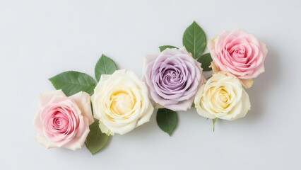 Obraz premium Lineup of five colorful roses on light gray surface for display