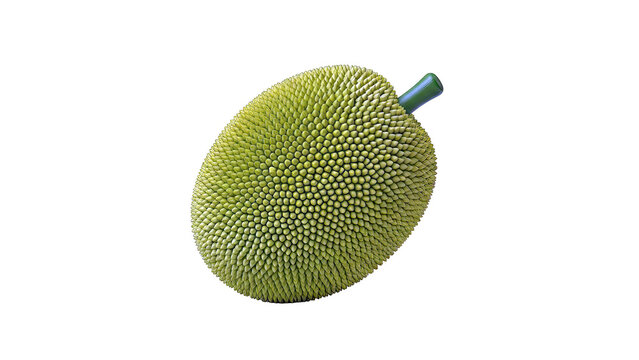 Green Jackfruit with Spiky Skin and Stem