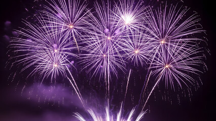 Vibrant purple fireworks exploding in the night sky