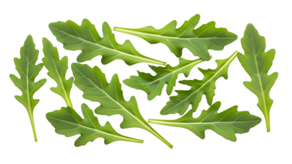 Green arugula leaves isolated on transparent background
