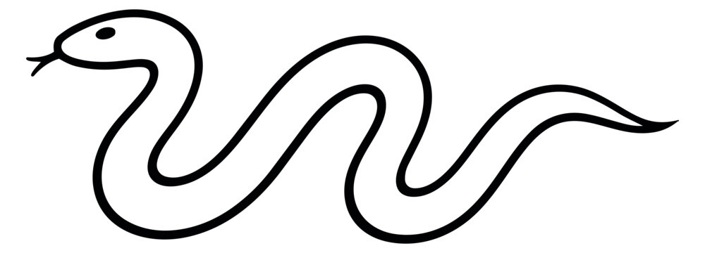 Hand drawn line art illustration of a snake depicting its slithering form for animal and nature concepts
