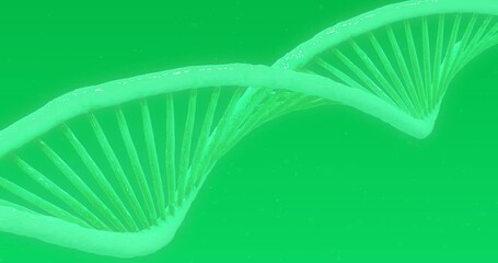3D DNA structure forming against green background - Powered by Adobe