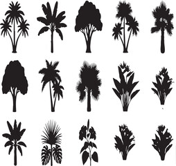 Assortment of Tropical Plant and Tree Silhouettes on White Background Keywords: tropical, plants, trees, silhouette