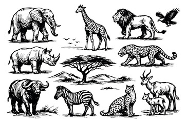 Hand drawn line art African safari animals set featuring majestic wildlife for nature exploration