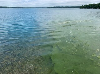 Clean And Polluted Lake Water Algae Bloom Environmental Concept