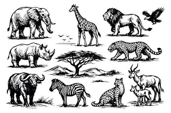 Hand drawn line art African safari animals set featuring majestic wildlife for nature exploration