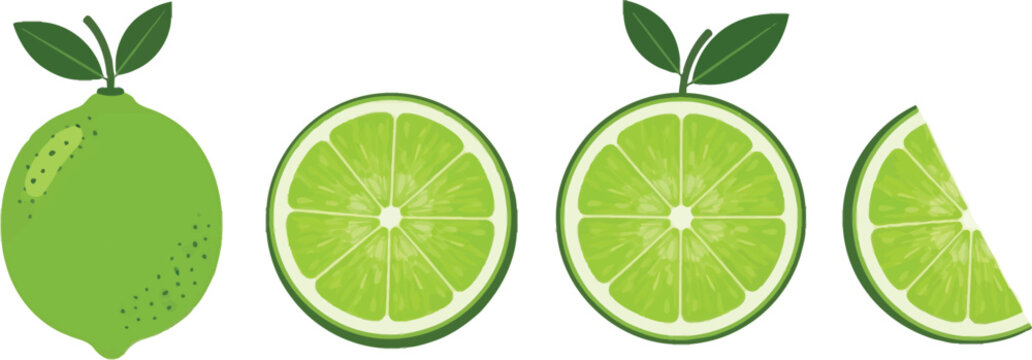 Fresh lime fruit and slices on a white background