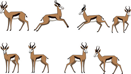 African springbok antelope character collection featuring wild gazelle in various poses including running jumping standing and walking for safari nature vector design. © Mun islam