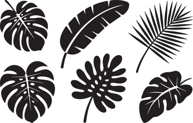 Fototapeta premium Set of leaf silhouettes, black and white vector illustration of various leaves, isolated collection for nature, eco, and botanical design concepts