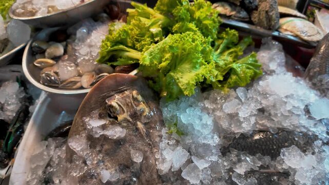 Fresh Stingray on Ice at Thai Night Market