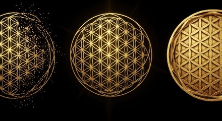 Golden Flower of Life Sacred Geometry