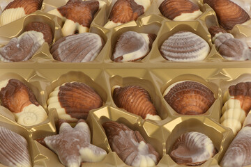 Open box of seashell shaped chocolate pralines in gold plastic tray