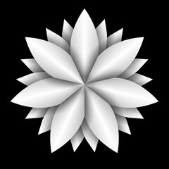 Simple white flower isolated on black background.